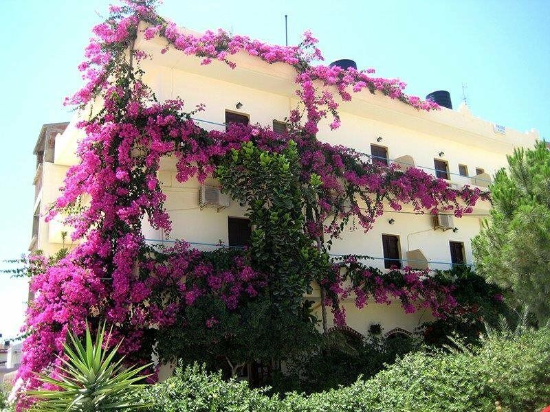 Knossos Hotel Kalamaki  Dış mekan fotoğraf